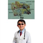 Ear Health Guide Kindle Edition by HealthPress Audiology Basics-0